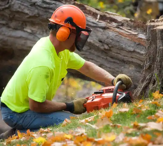 tree services Floodwood